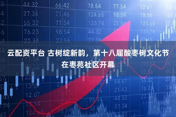 云配资平台 古树绽新韵，第十八届酸枣树文化节在枣苑社区开幕