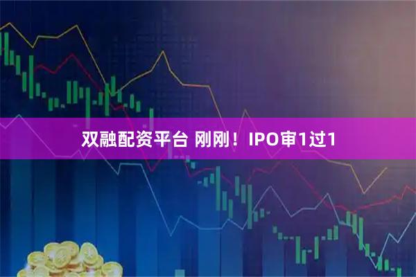 双融配资平台 刚刚！IPO审1过1
