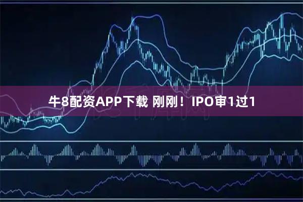 牛8配资APP下载 刚刚！IPO审1过1