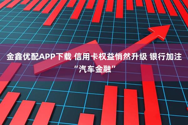 金鑫优配APP下载 信用卡权益悄然升级 银行加注“汽车金融”