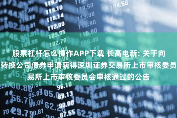 股票杠杆怎么操作APP下载 长高电新: 关于向不特定对象发行可转换公司债券申请获得深圳证券交易所上市审核委员会审核通过的公告