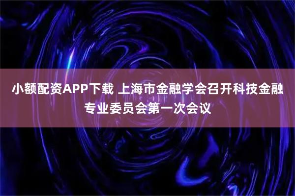 小额配资APP下载 上海市金融学会召开科技金融专业委员会第一次会议