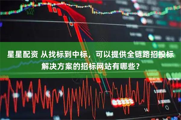 星星配资 从找标到中标，可以提供全链路招投标解决方案的招标网站有哪些？